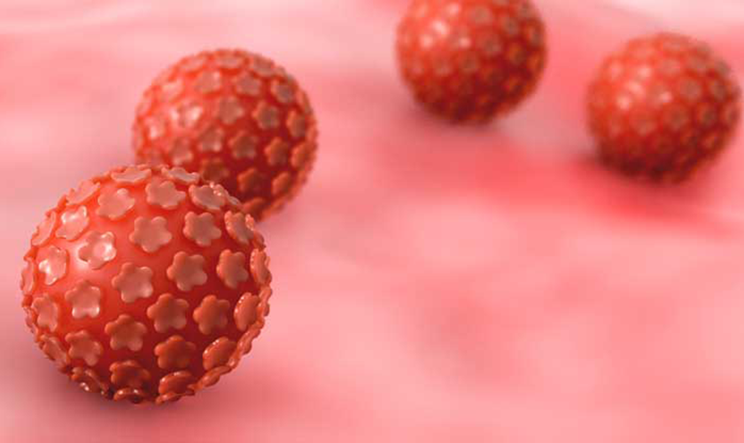 hpv virus a tehotenstvi programme perte de toxine