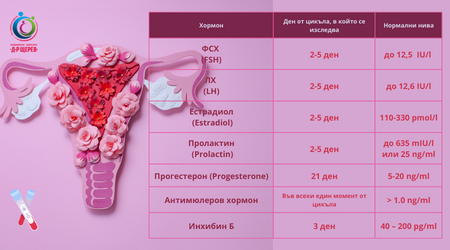 Infographic Hormonal Women Health (450 × 250 px)