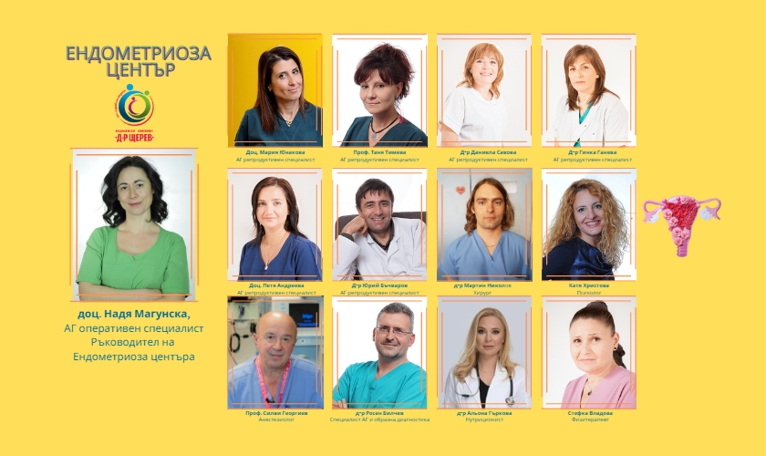 Our Team Endometriosis Center - 840x500