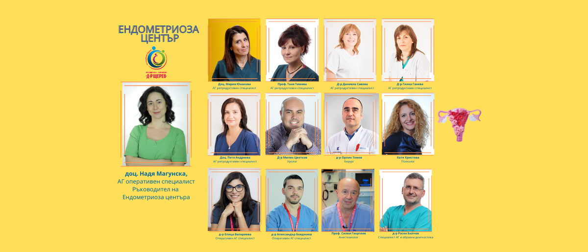 Our Team Endometriosis Center (1200 x 515 px)