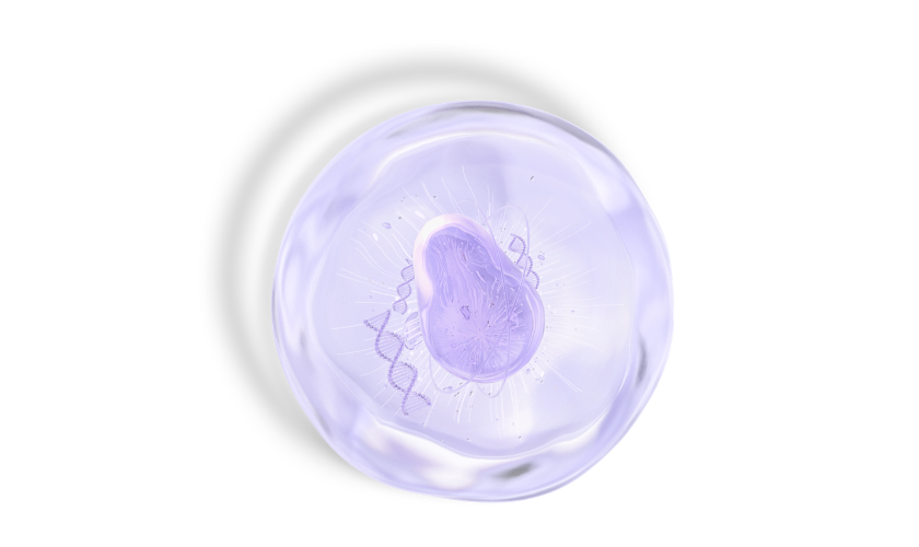 cell 840 500