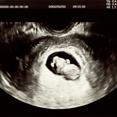 Pregnancy_Blog_cover_240x240